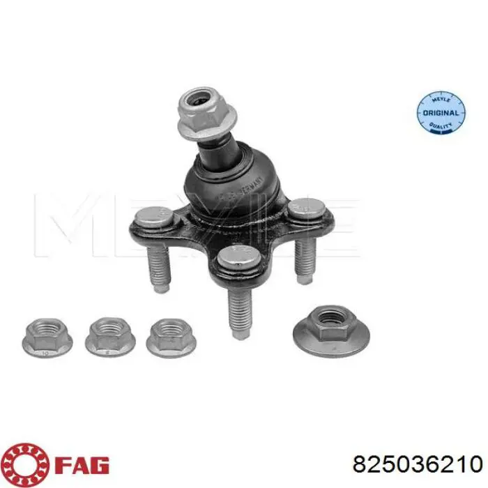 Suporte de esfera inferior esquerdo FAG 825036210 preço, a partir de 27,52 USD
