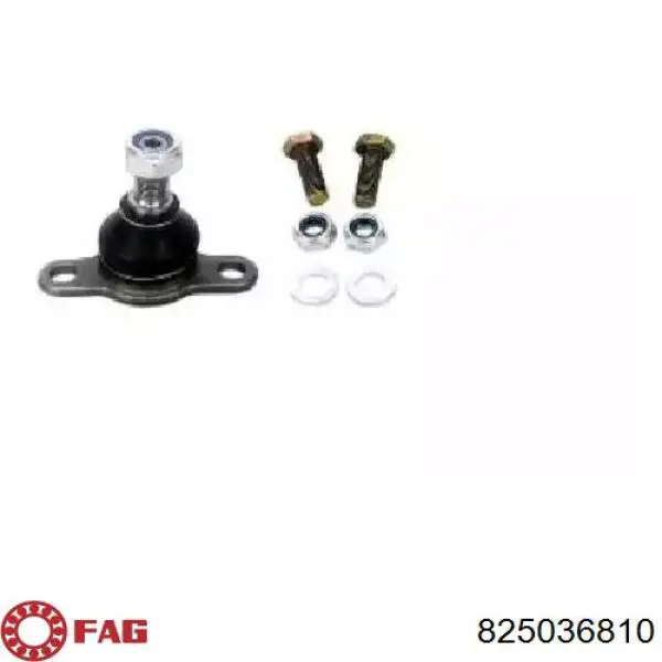 Compre 825036810 FAG Suporte de esfera inferior