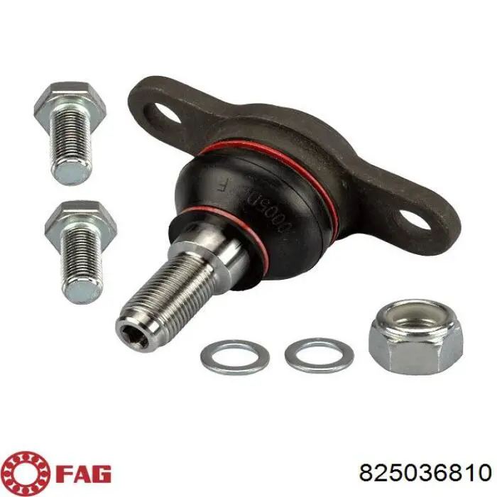 Suporte de esfera inferior FAG 825036810 preço, a partir de 21,89 USD