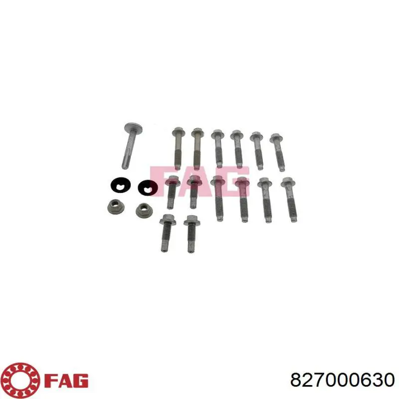 827000630 FAG Kit de parafusos de suspensão traseira