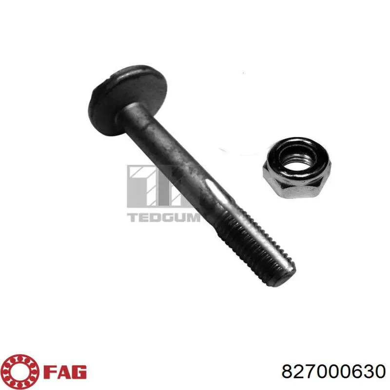 Compre 827000630 FAG Kit de parafusos de suspensão traseira
