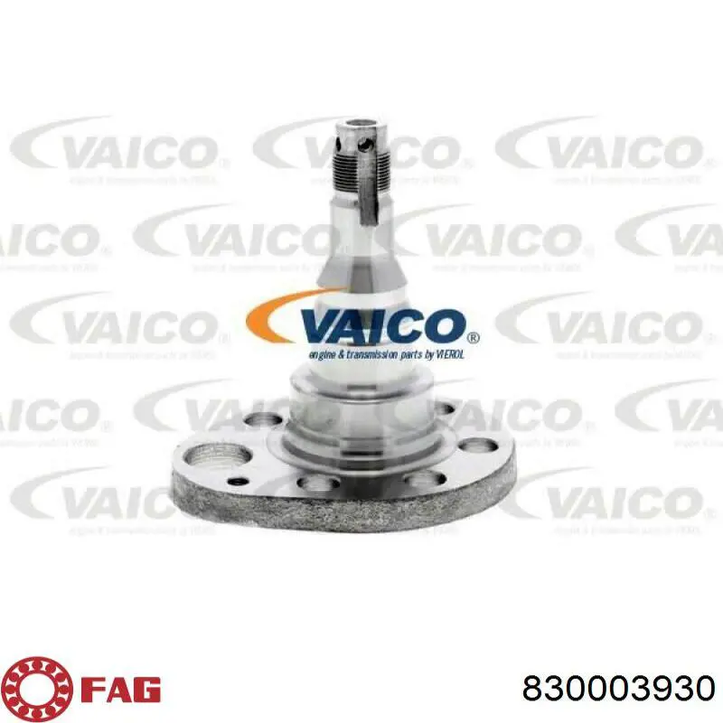 Pino moente (extremidade do eixo) traseiro FAG 830003930 preço, a partir de 55,23 USD