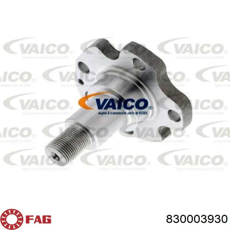 Compre G2229666 Expert Line Pino moente (extremidade do eixo) traseiro