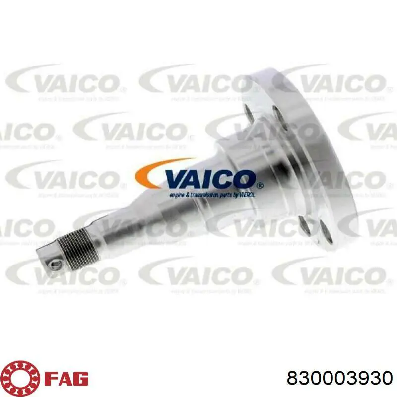 Pino moente (extremidade do eixo) traseiro G2229666 Expert Line