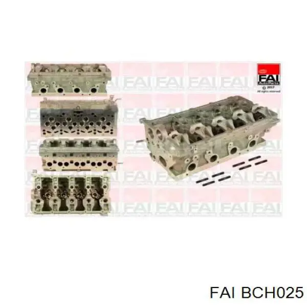 Compre BCH025 FAI Cabeça de motor (CBC)