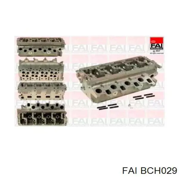 Compre BCH029 FAI Cabeça de motor (CBC)
