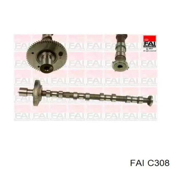 CAM973 AE Árvore distribuidora de motor de admissão