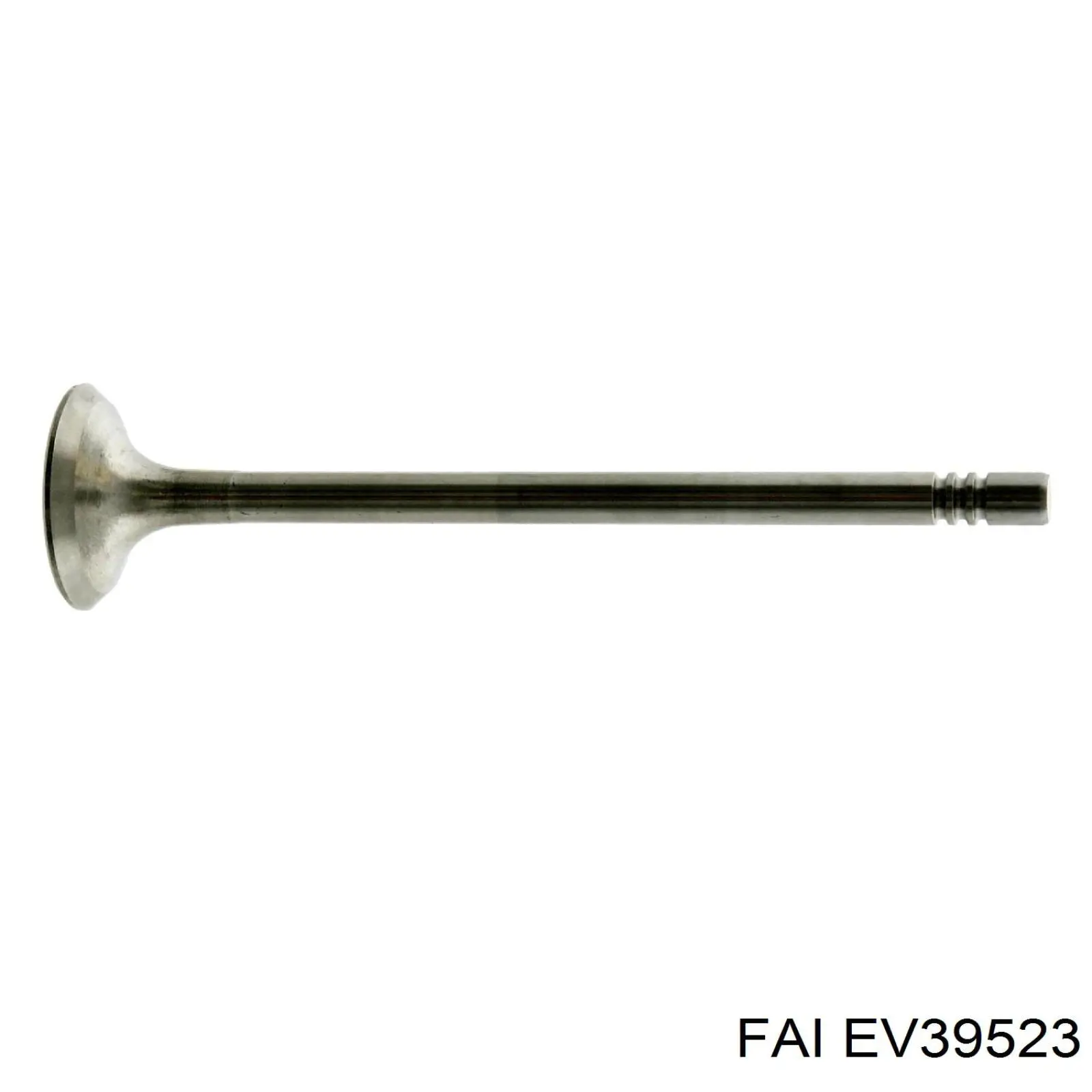 036109611AE VAG Válvula de escape