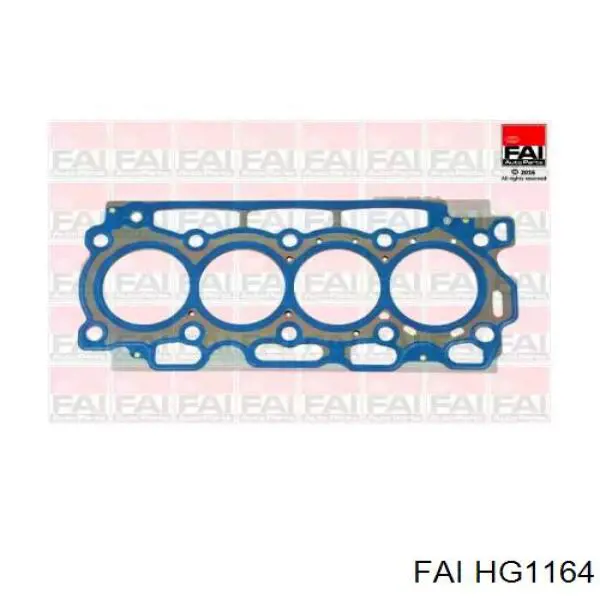 HG1164 FAI Vedante de cabeça de motor (CBC)