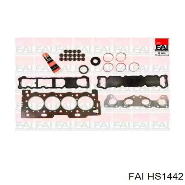HS1442 FAI Kit superior de vedantes de motor
