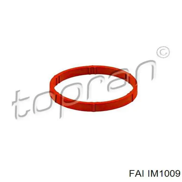 IM1009 FAI Vedante de tubo coletor de admissão