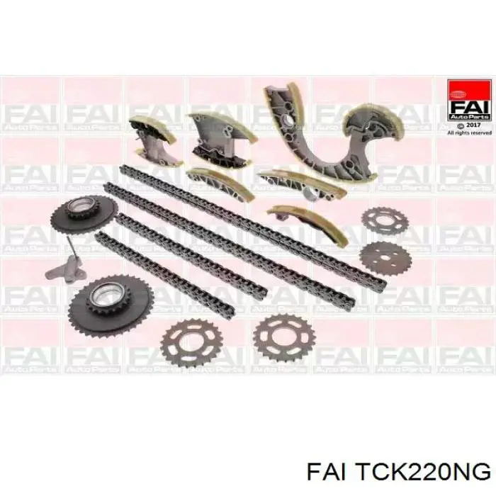 TCK220NG FAI Cadeia do mecanismo de distribuição de gás, kit