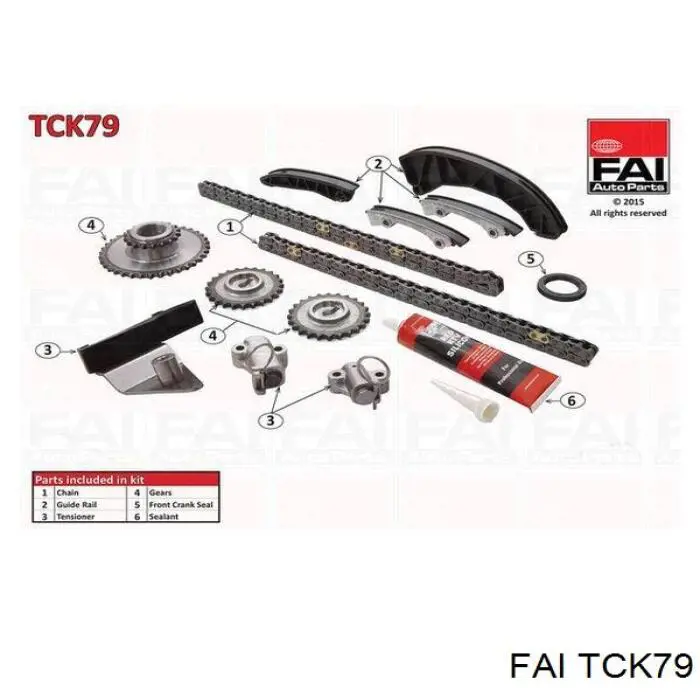 Compre TCK79 FAI Cadeia do mecanismo de distribuição de gás, kit