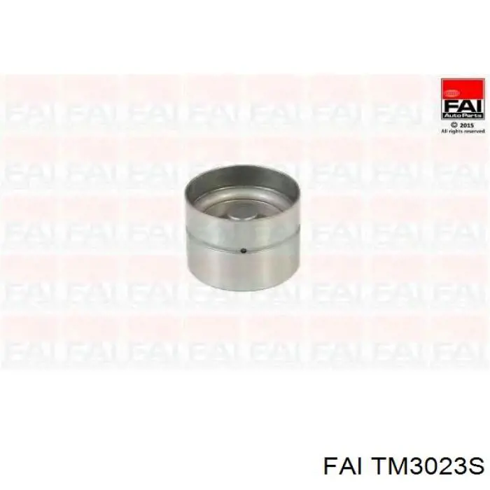 Compensador hidrâulico (empurrador hidrâulico), empurrador de válvulas FAI TM3023S preço, a partir de 7,48 USD