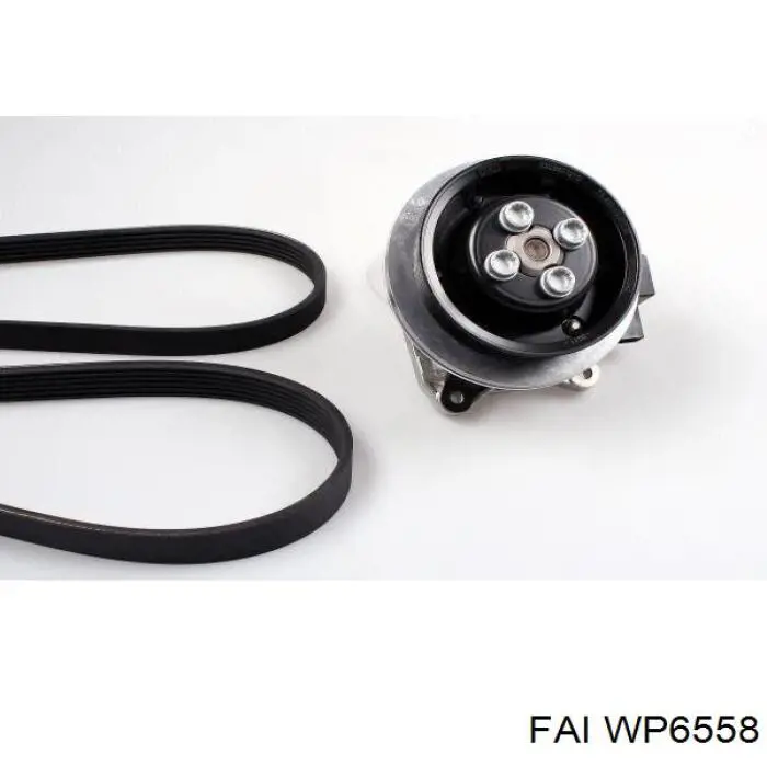 Compre WP6558 FAI Bomba de água (bomba) de esfriamento