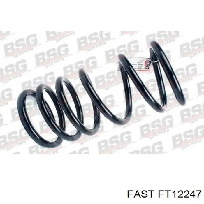 FT12247 Fast Mola dianteira