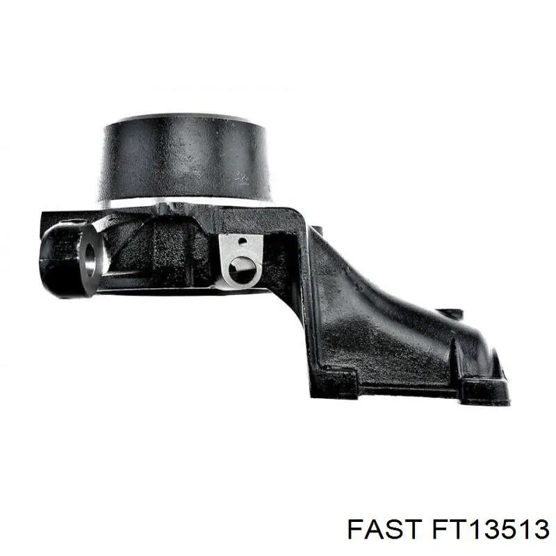Compre FT13513 Fast Pino moente (extremidade do eixo) dianteiro esquerdo