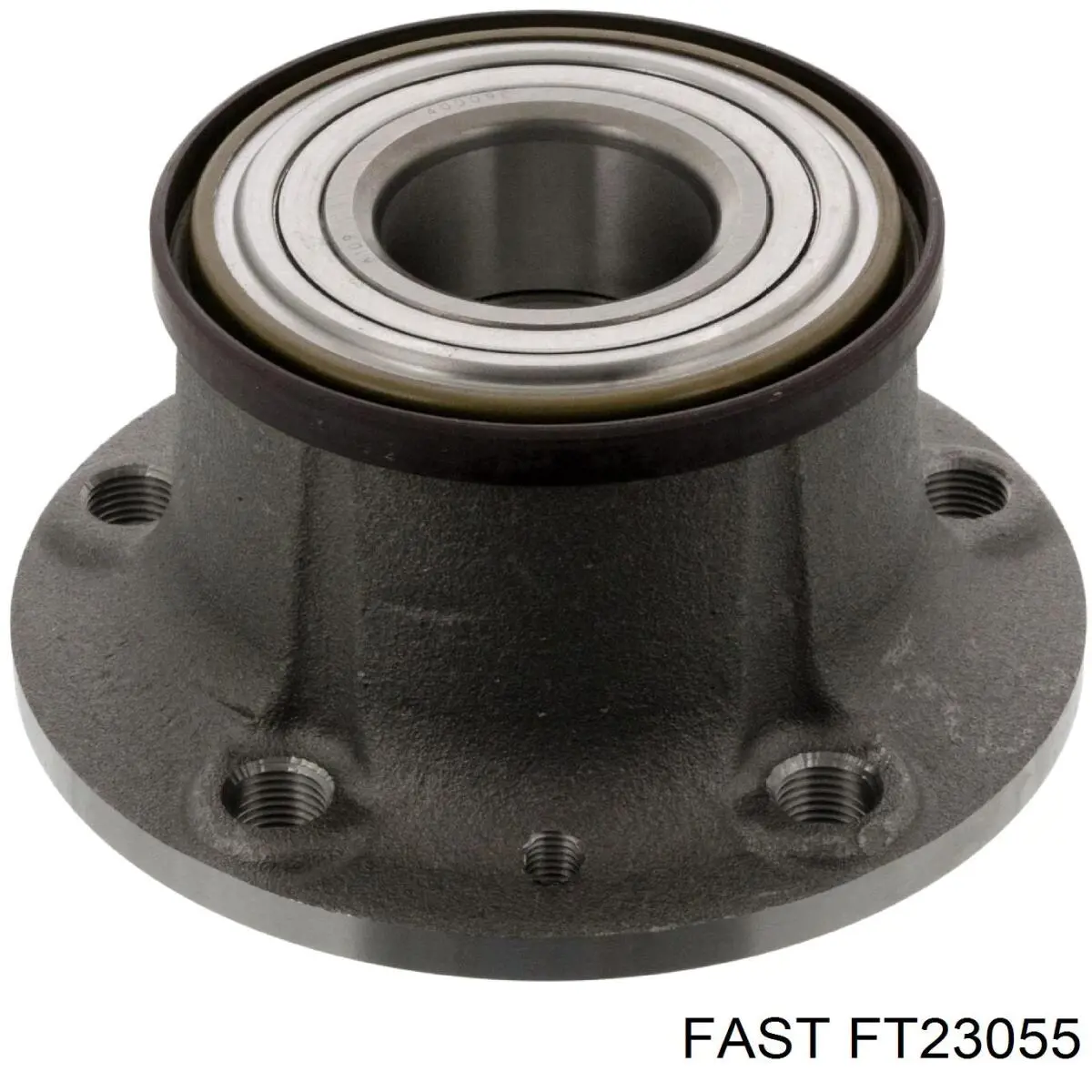 FT23055 Fast Cubo traseiro