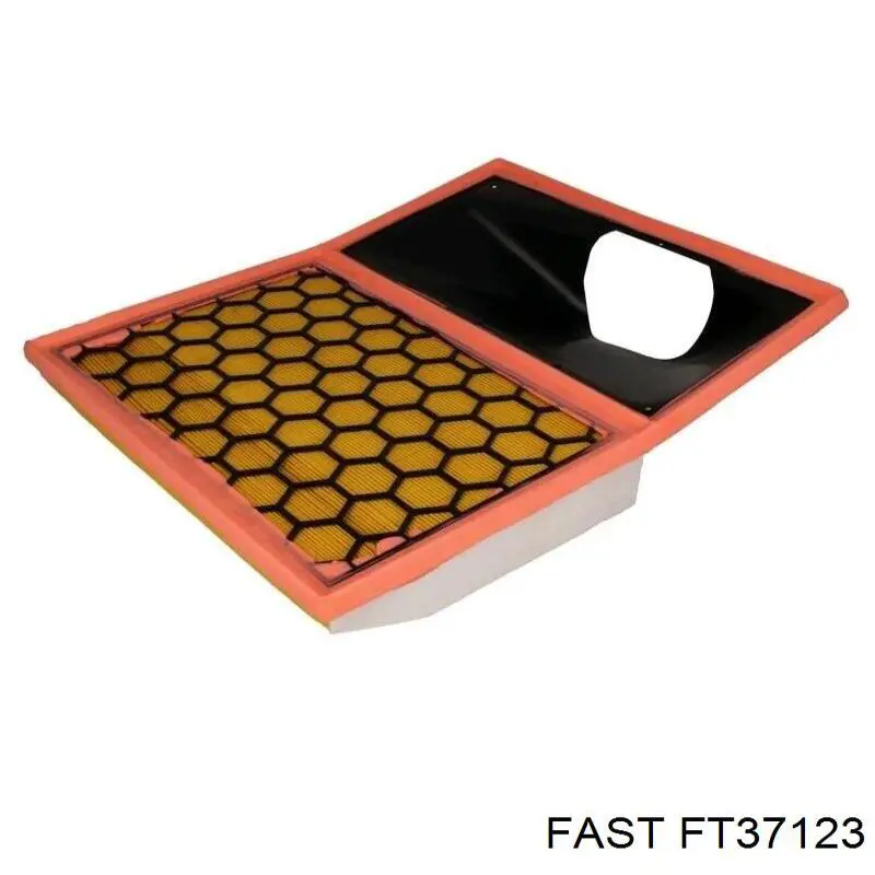 Filtro de ar FT37123 Fast