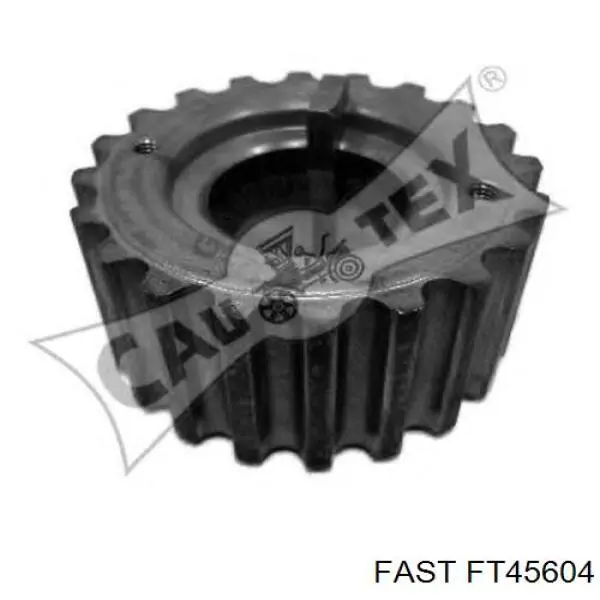 FT45604 Fast Engrenagem de cadeia da roda dentada de acionamento de cambota de motor