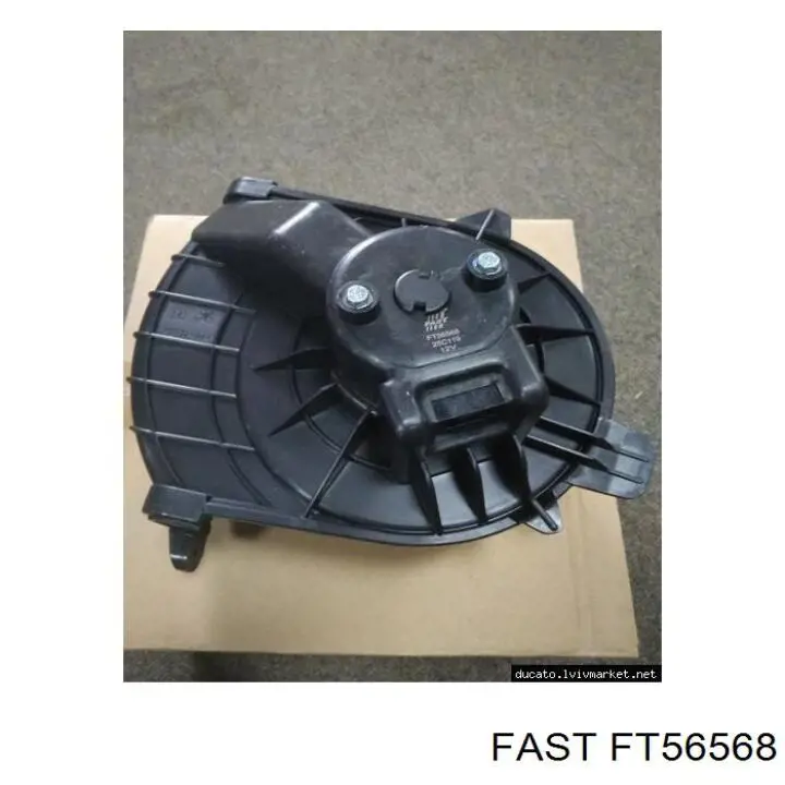 FT56568 Fast Motor de ventilador de forno (de aquecedor de salão)