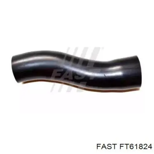 Compre FT61824 Fast Gargalo de enchimento do tanque de combustível