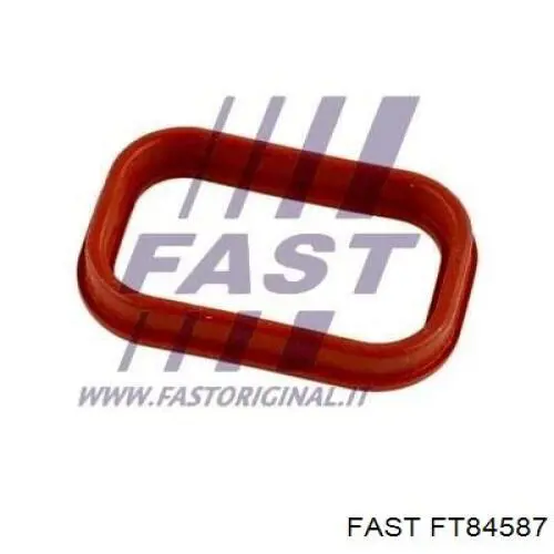 0050502089 Fiat/Alfa/Lancia Anel de tubo de admissão do silenciador