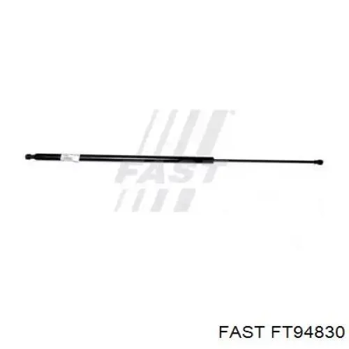 Compre FT94830 Fast Amortecedor de tampa de porta-malas (de 3ª/5ª porta traseira)