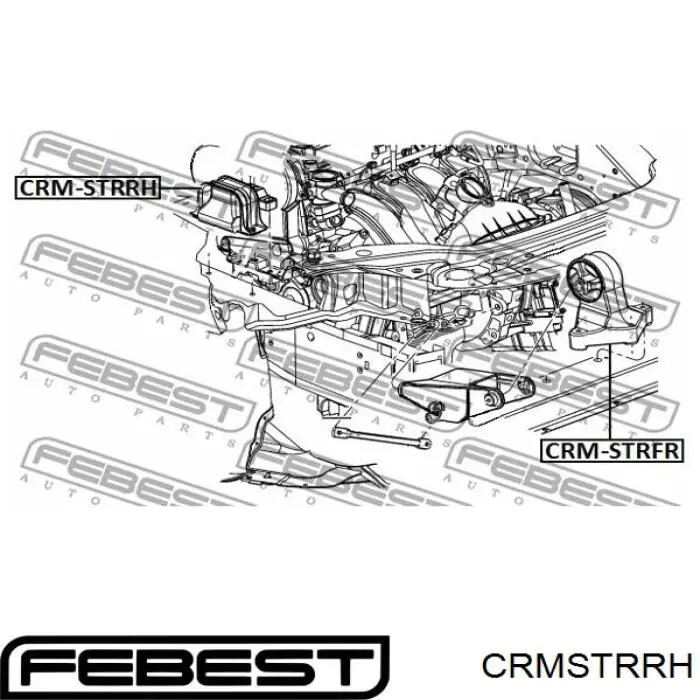 Coxim (suporte) direito de motor Febest CRMSTRRH preço, a partir de 116,50 USD