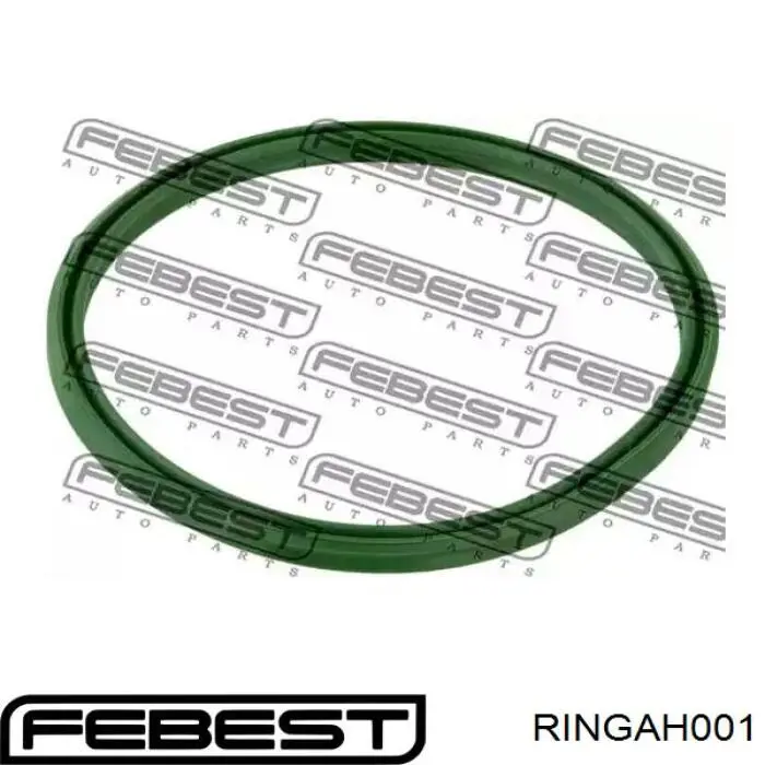 DCM070TT Thermotec Anel de vedação (vedante) de cano derivado de intercooler