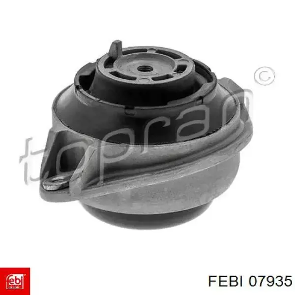 Coxim (suporte) esquerdo de motor Febi 07935 preço, a partir de 66,92 USD