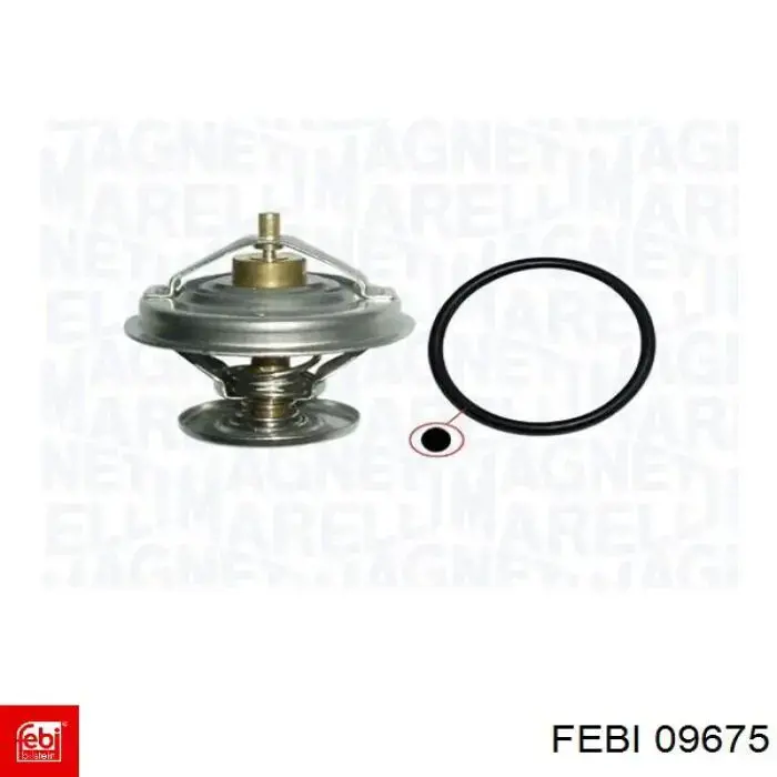 Compre 09675 Febi Termostato