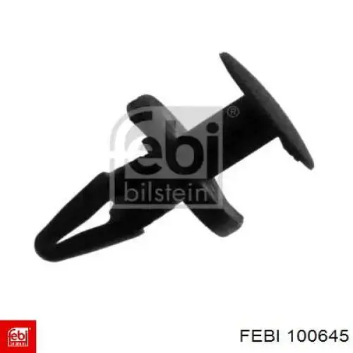 100645 Febi 