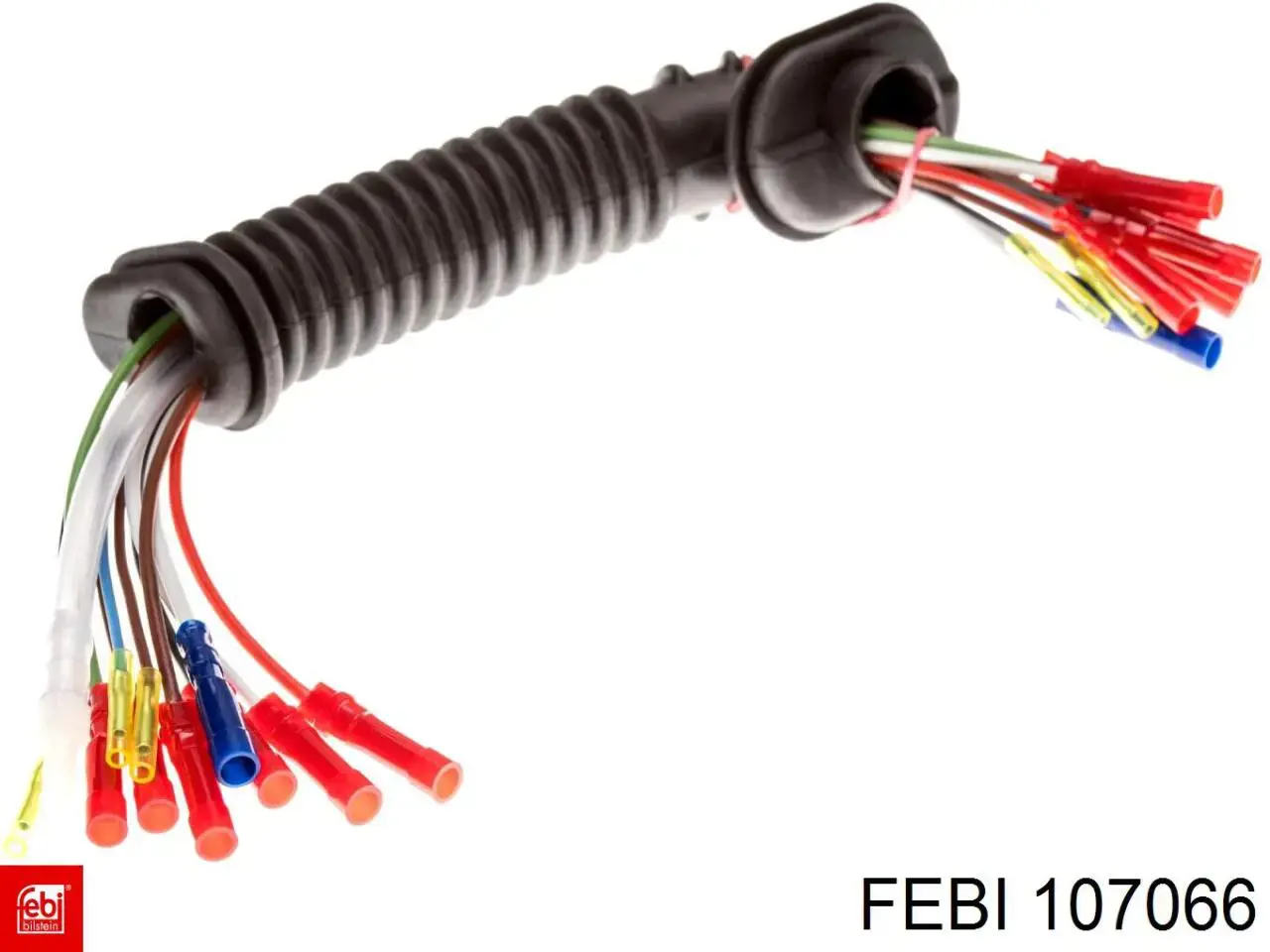 107066 Febi 