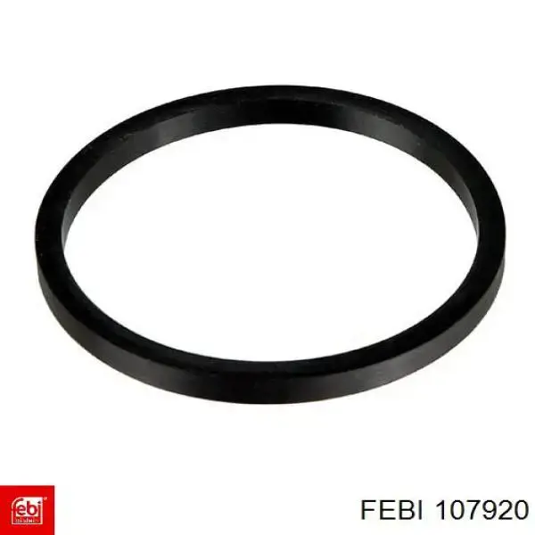 107920 Febi Cubo dianteiro