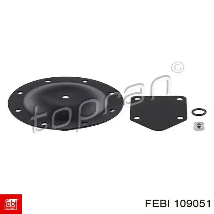 Compre 43208 Lemforder Braço oscilante inferior direito de suspensão dianteira