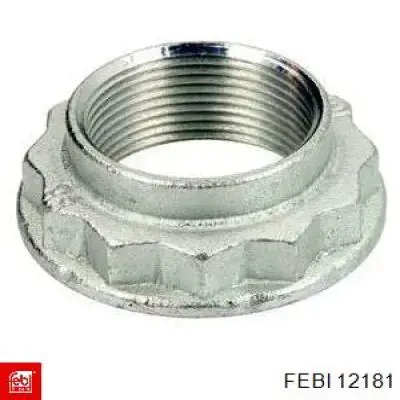 Compre 12181 Febi Porca de cubo traseiro
