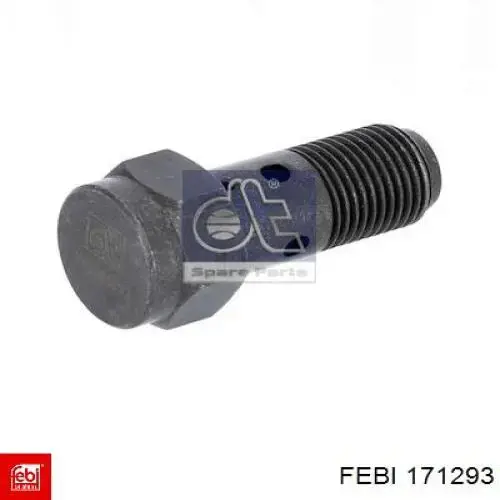 Compre 7421022032 Renault (RVI) Válvula de derivação de combustível (parafuso banjo)