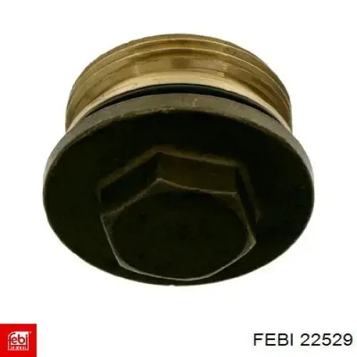 Compre 22529 Febi Tampão de cubo