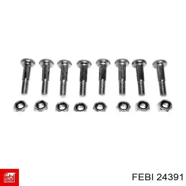 Compre 24391 Febi Parafuso de fixação de apoio esférico dianteiro ao pino de apoio