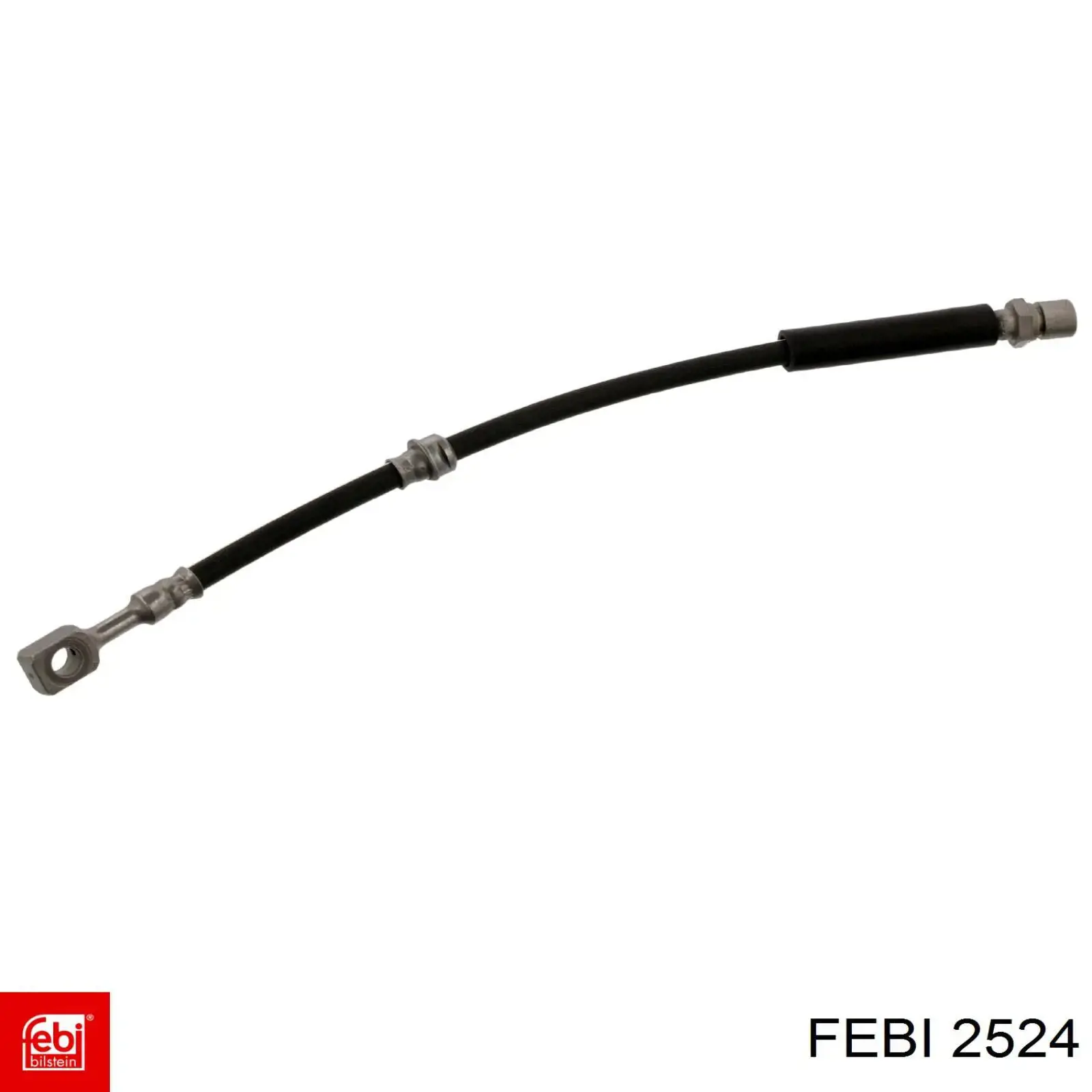  Febi 2524