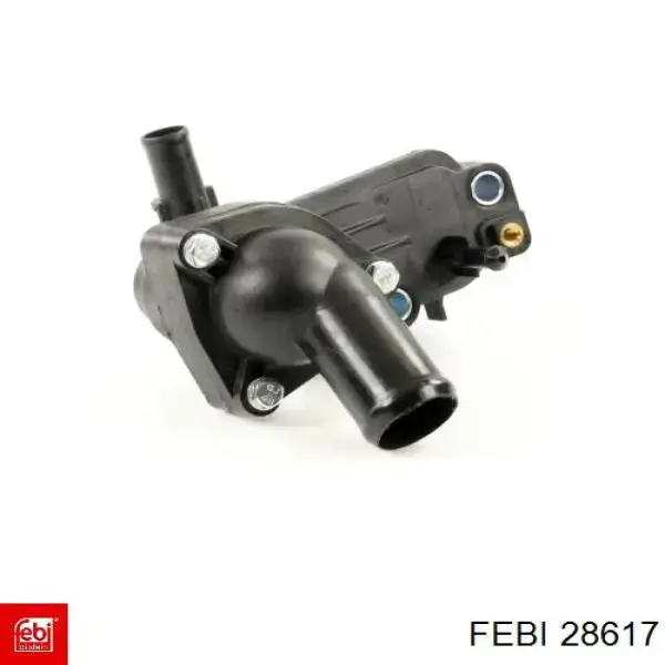 Compre 28617 Febi Mangueira (cano derivado) inferior do radiador de esfriamento