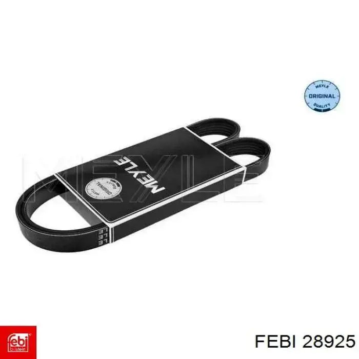 Compre 28925 Febi Correia dos conjuntos de transmissão