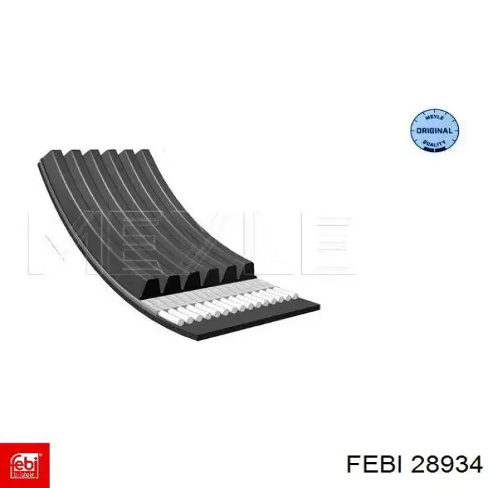 Compre 28934 Febi Correia dos conjuntos de transmissão