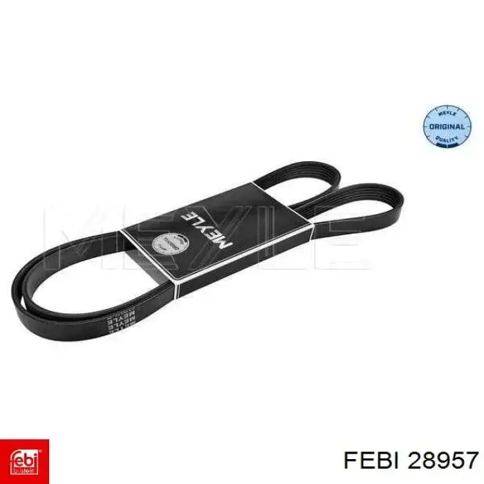 Compre 28957 Febi Correia dos conjuntos de transmissão