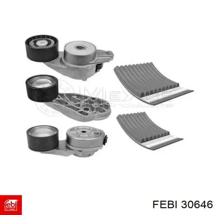 Compre 30646 Febi Rolo parasita da correia de transmissão