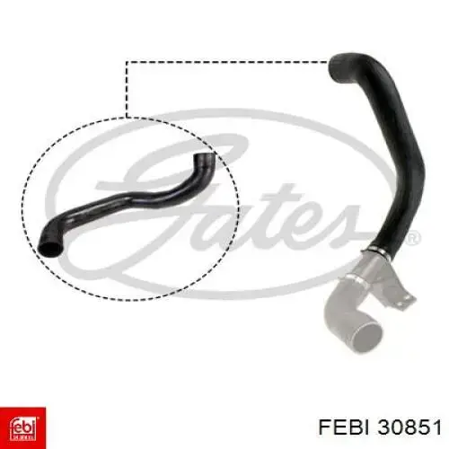 Compre 30851 Febi Mangueira (cano derivado) de intercooler