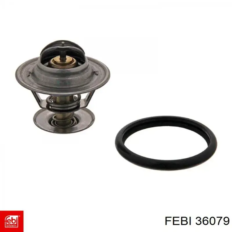 Compre 36079 Febi Cubo dianteiro