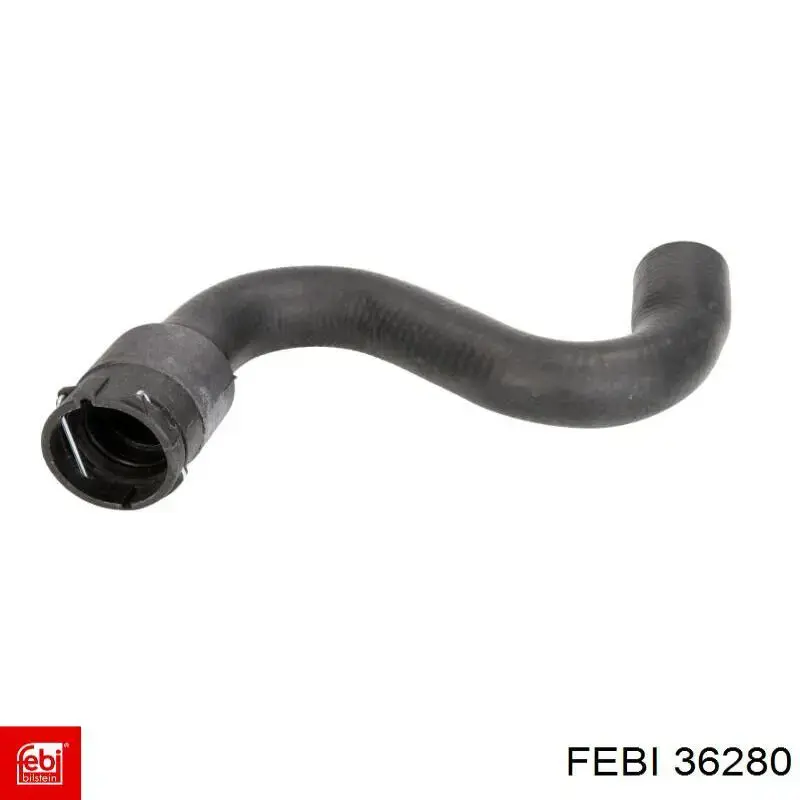 Compre 36280 Febi Mangueira (cano derivado) do radiador de esfriamento superior