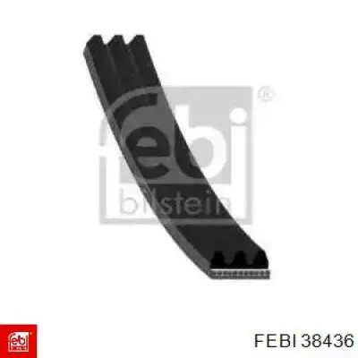 Compre 3PK806ELAST Continental/Siemens Correia dos conjuntos de transmissão